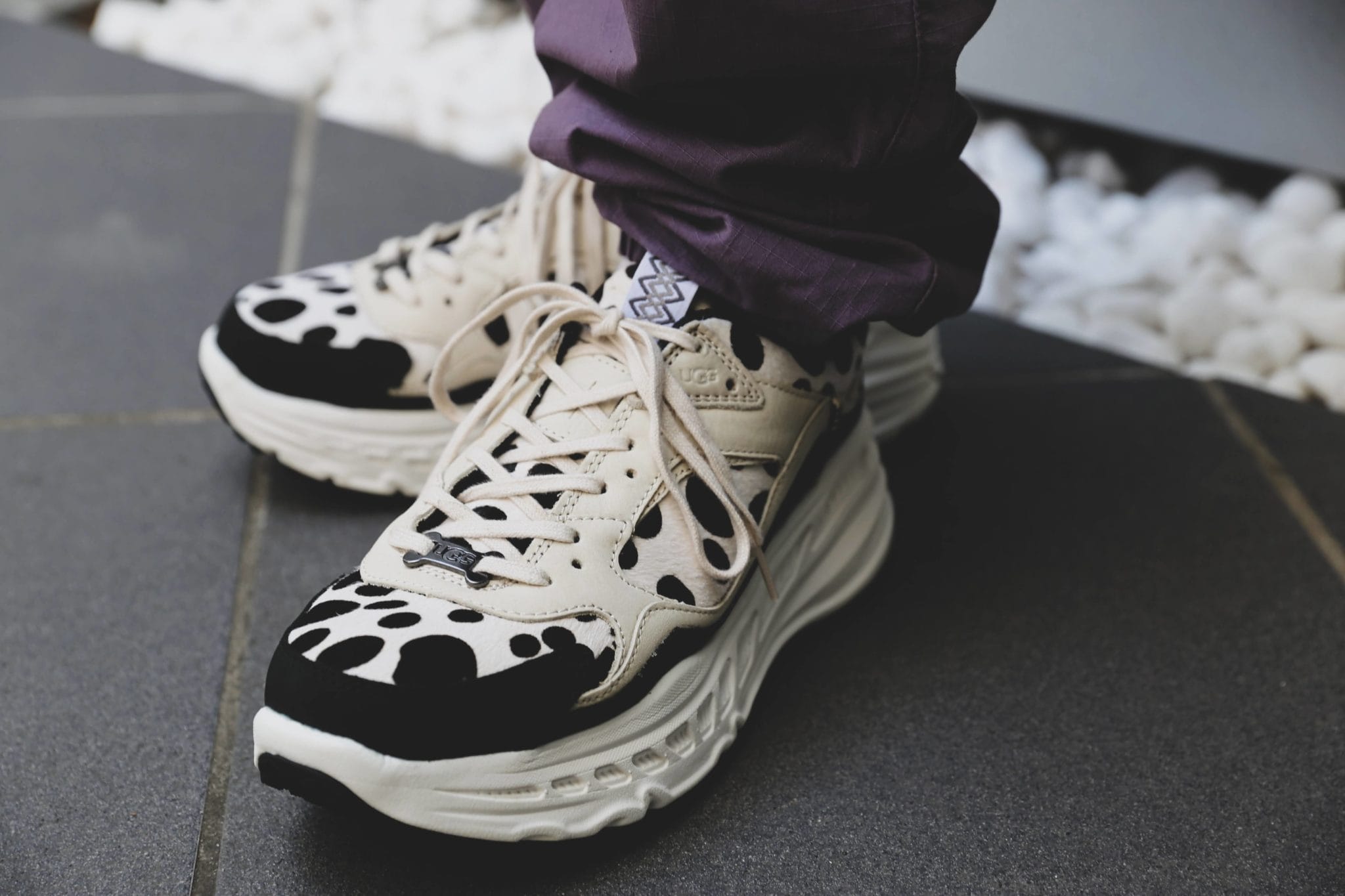 【UGG CA805 Dalmatian】WEB抽選販売方法について…..